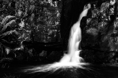 Scenic view of waterfall in forest