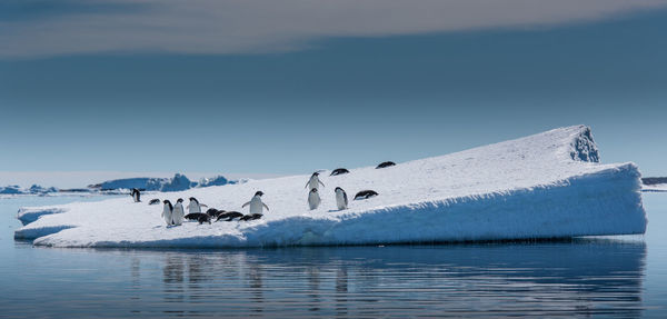 Scenic view of glacier against sky during winter