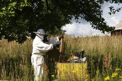 Man working on field by beehive