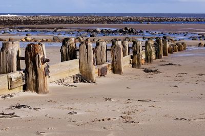 Panoramic view of wooden posts on beach