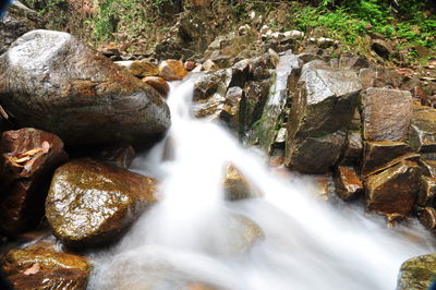 Scenic view of waterfall in forest