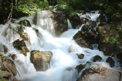 Scenic view of waterfall in forest