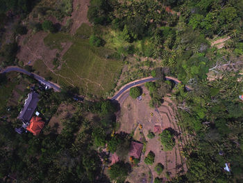 Road to rice field