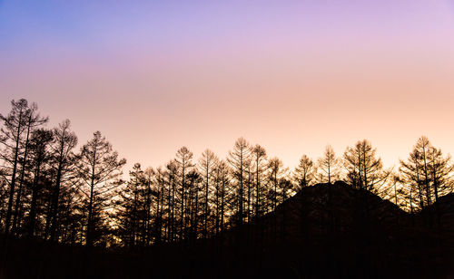 Silhouette trees in forest against clear sky