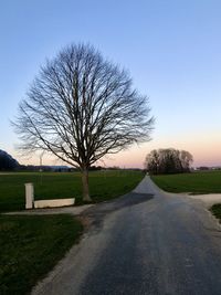 Road amidst bare trees on field against sky