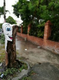 Close-up of smiley face on tree