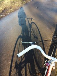 Low section of person with bicycle on road