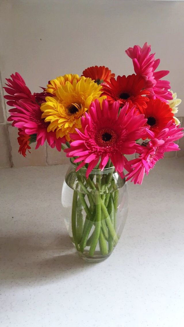 flower, freshness, indoors, petal, vase, fragility, flower head, table, yellow, potted plant, flower arrangement, multi colored, decoration, flower pot, beauty in nature, wall - building feature, close-up, plant, nature, bunch of flowers