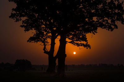 Silhouette tree on field against sky during sunset