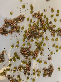 High angle view of berries on table