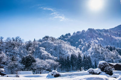 Trees on snow covered mountains against sky