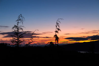 Silhouette plants on land against sky during sunset