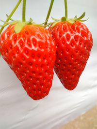 Close-up of strawberries