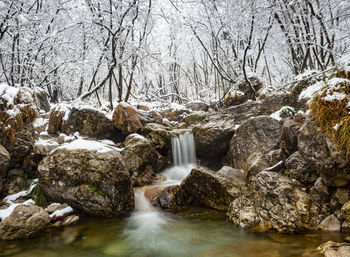 Waterfall in a woodland of the italian alps in winter season