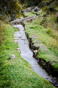 View of stream amidst green landscape
