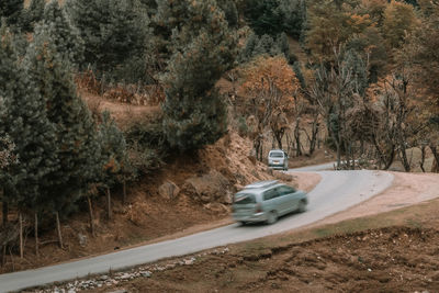 Car on road amidst trees in forest