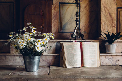 Close-up of potted plant on table