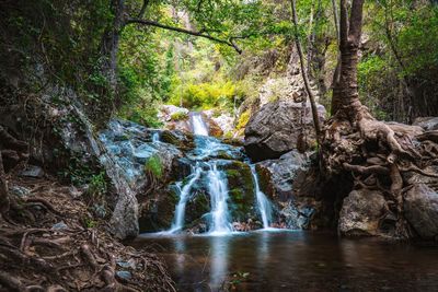 Waterfall in forest