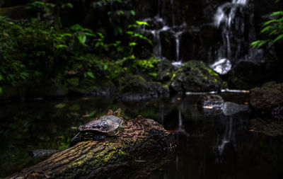 water