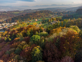 High angle view of trees and buildings during autumn