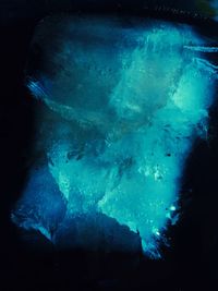 Close-up of coral underwater