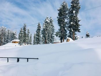 Snow covered land and trees against sky