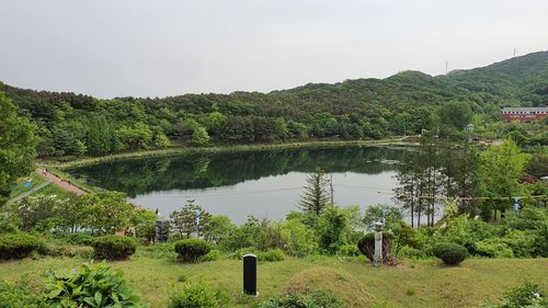 Scenic view of lake and trees against sky