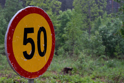 Close-up of road sign