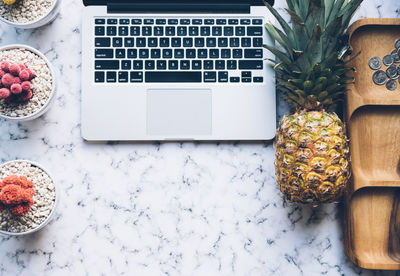 Directly above shot of laptop and pineapple with plants on table