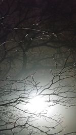 Low angle view of tree against sky