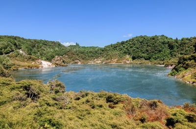 Scenic view of sea and trees against clear blue sky