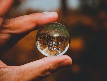 Cropped hand holding crystal ball with reflection on trees during autumn