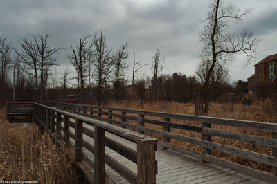 Bare trees on field against sky