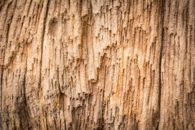 Close-up of weathered wood