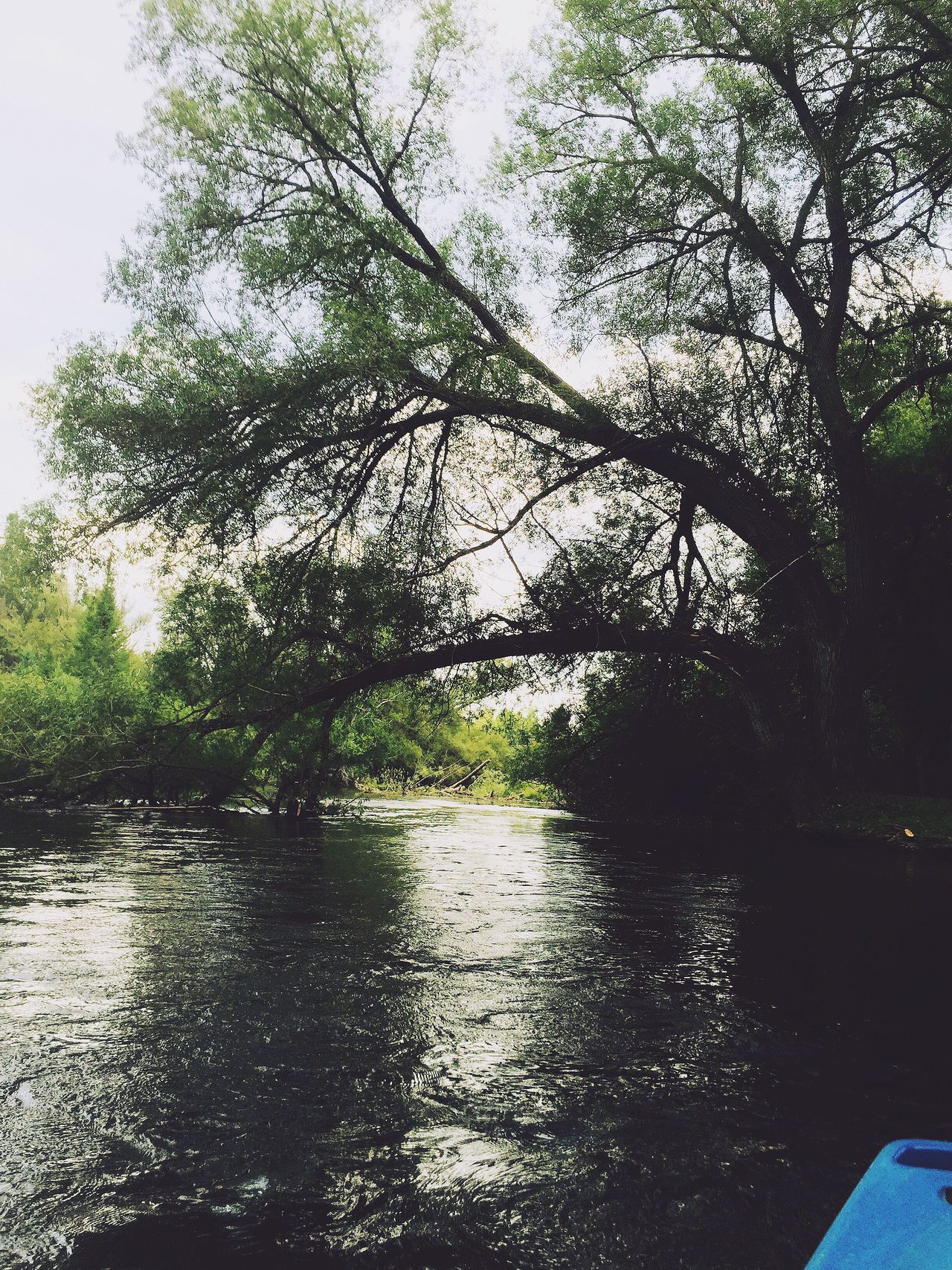 Au Sable River