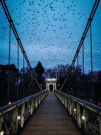 Birds flying over footbridge against sky