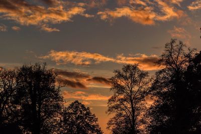 Low angle view of silhouette trees against sky at sunset