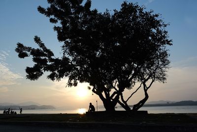 Silhouette tree by sea against sky during sunset