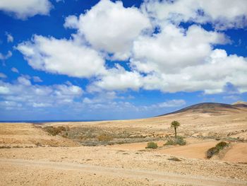 Scenic view of desert against sky