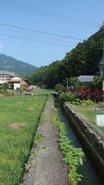 Plants in front of building