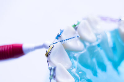 Close-up of artificial teeth against white background