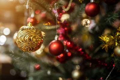 Close-up of christmas tree