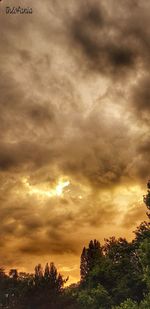 Low angle view of trees against dramatic sky