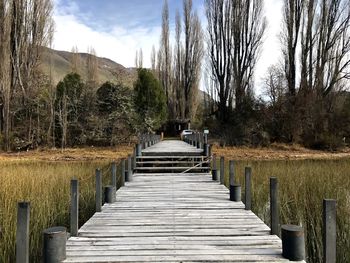 Boardwalk amidst trees against sky