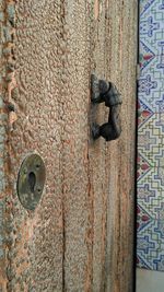 Close-up of cat on rusty metal