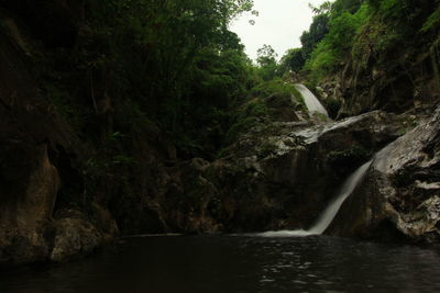 Scenic view of waterfall in forest