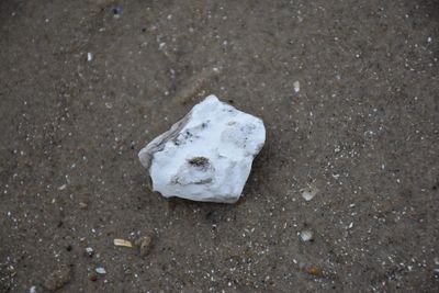 rock