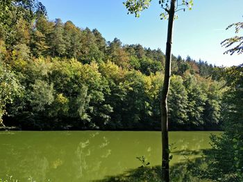 Scenic view of lake by trees against sky