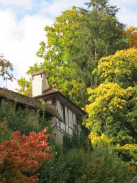 Flowering plants and trees against sky