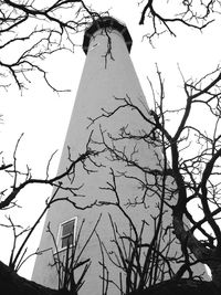 Low angle view of bare tree against sky